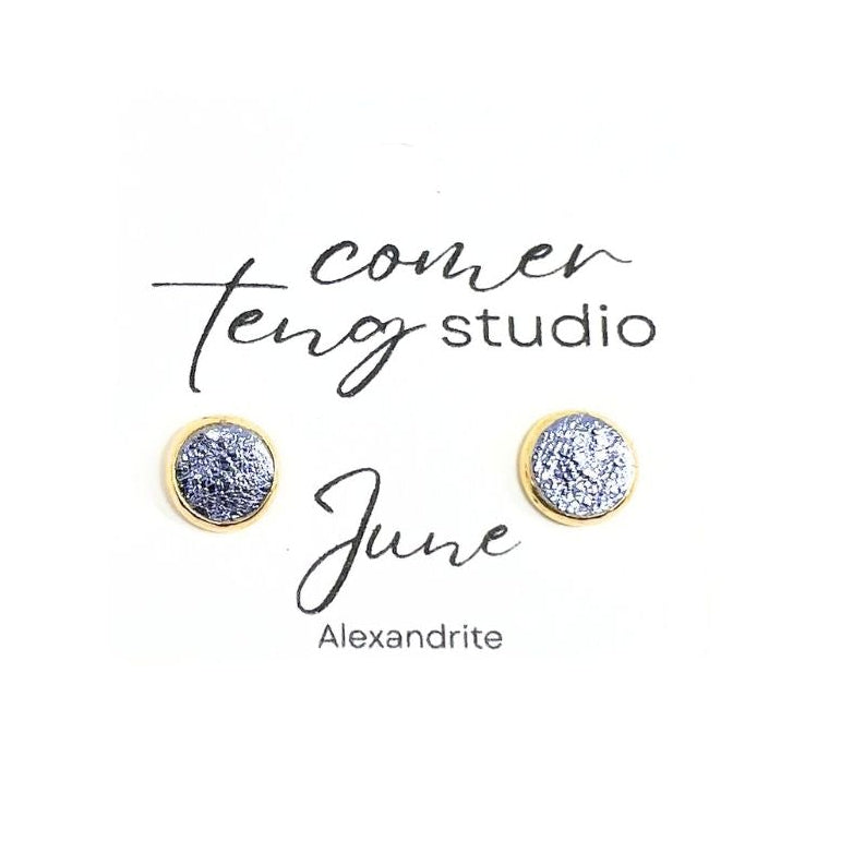 Birth Month Leather Stud Earrings