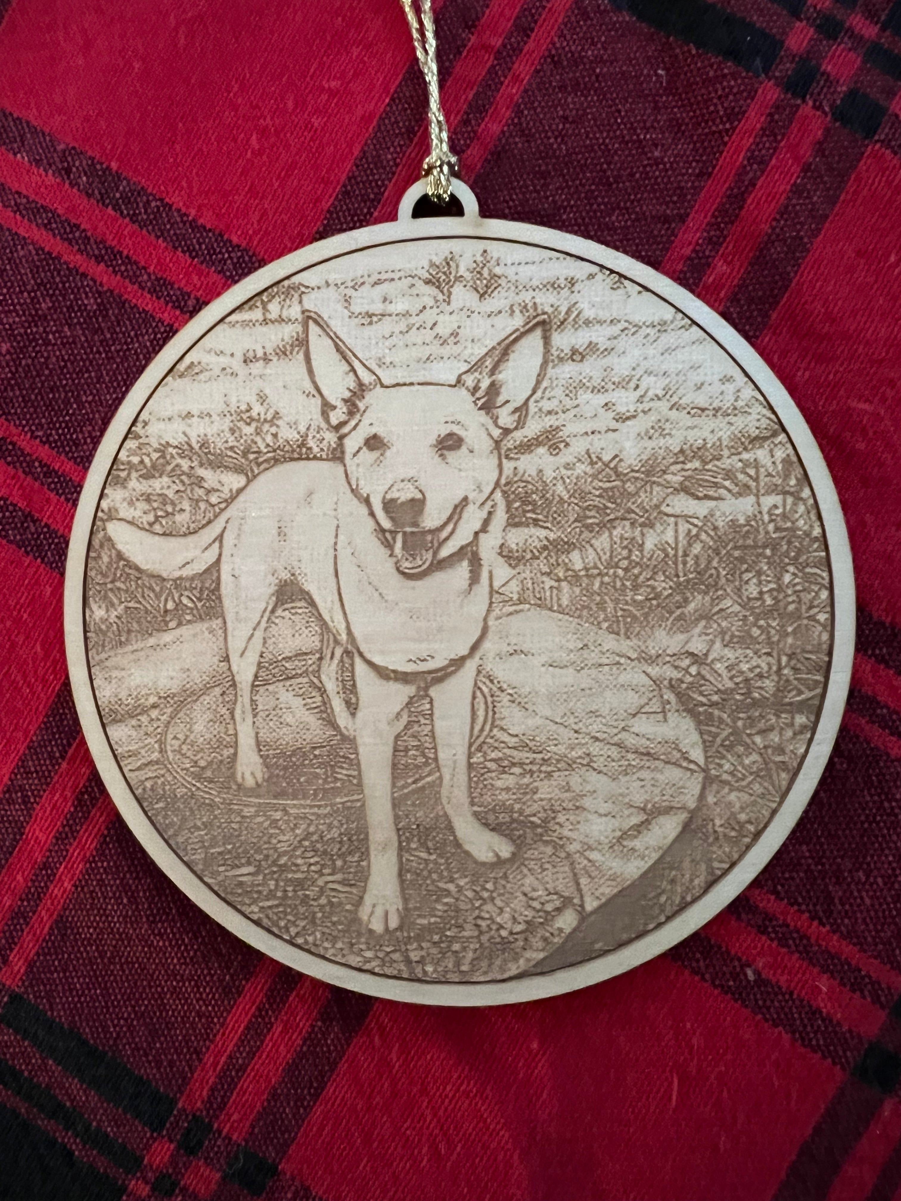 Personalized Pet Ornament