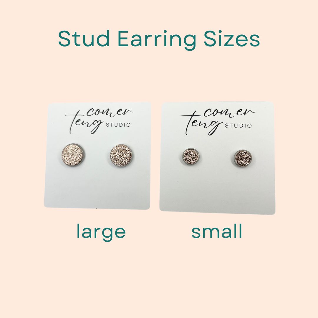 Small Surgical Stainless and Leather Stud Earrings