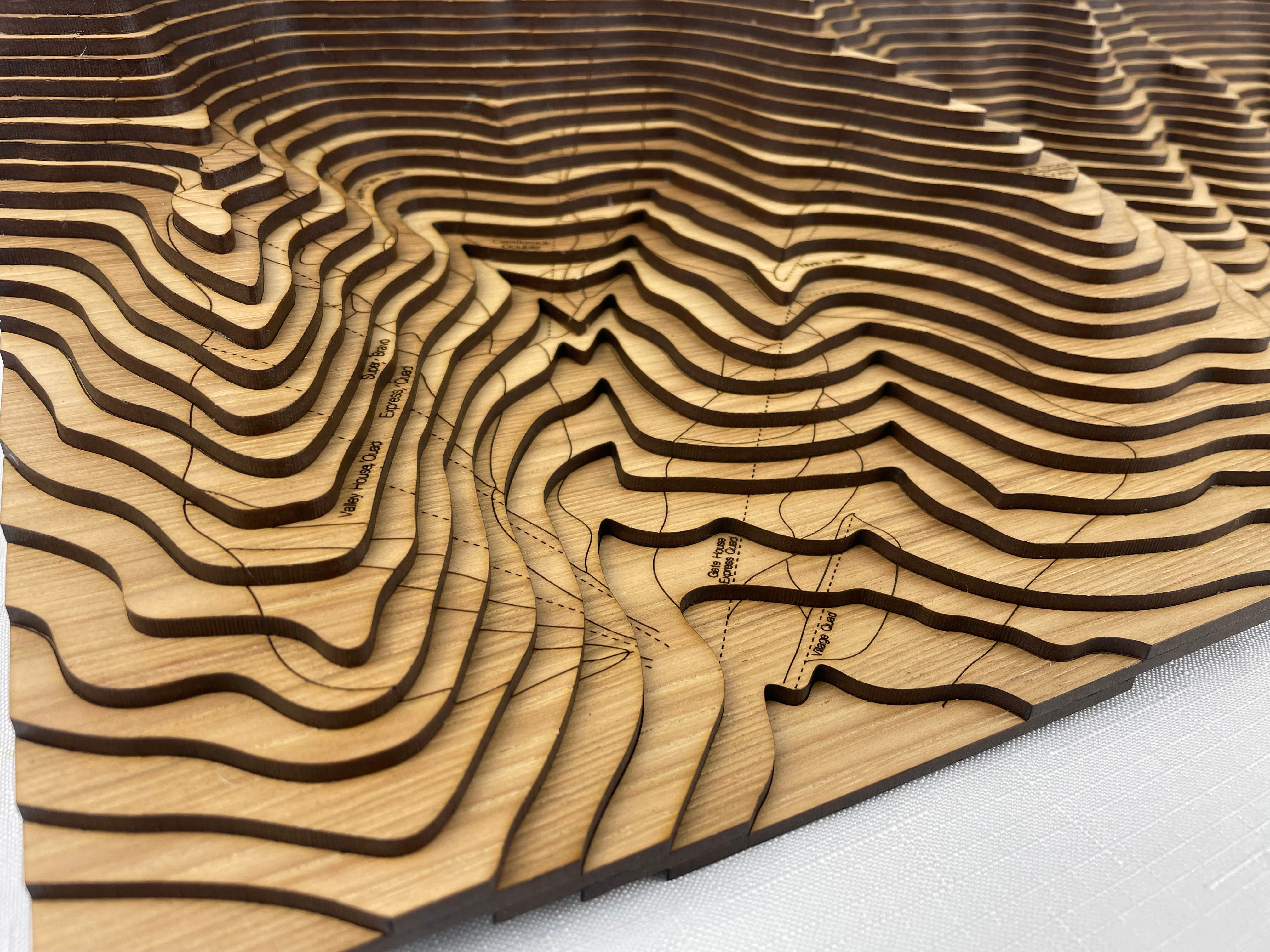 Custom Topographic Map