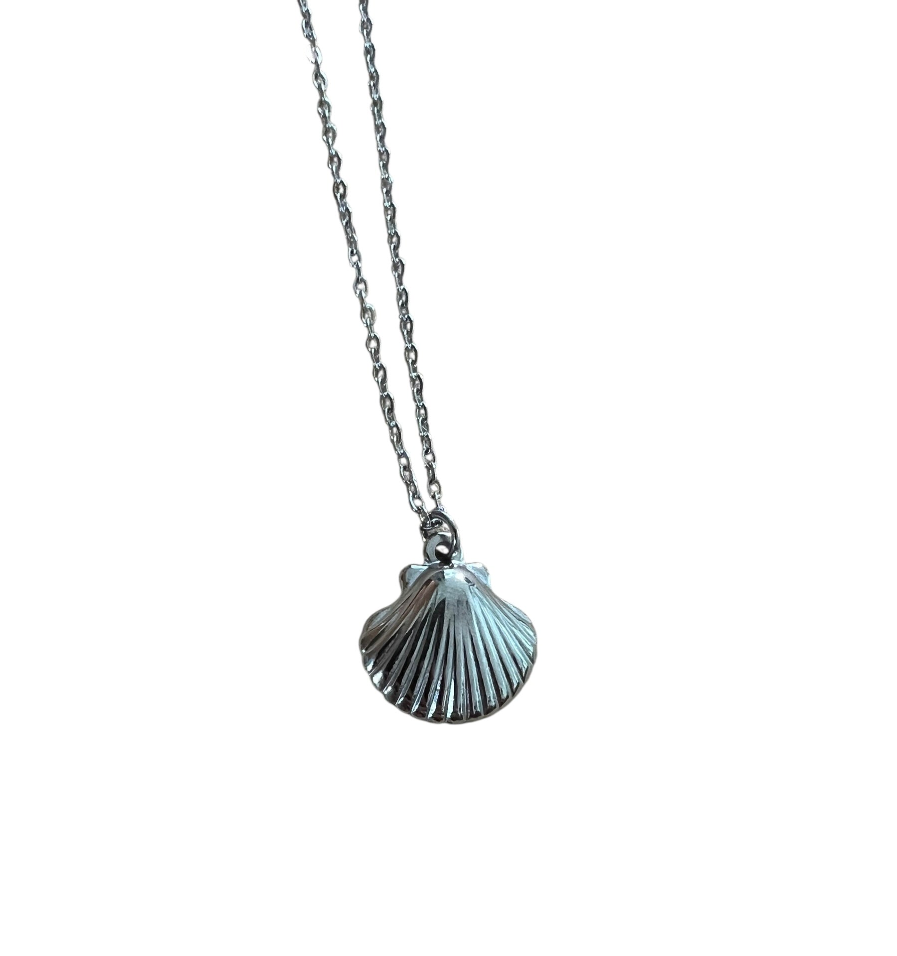 Silver shell pendant necklace on a white background